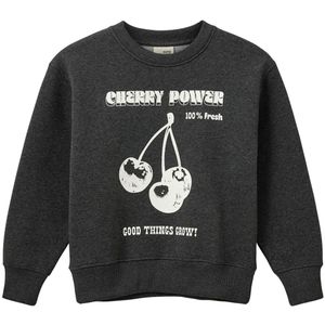 Sofie Schnoor Sweatshirt - Dark Grey Melange m. Print - Sofie Schnoor - 14 jaar (164) - Sweatshirt