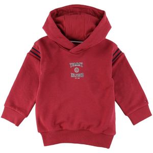 Tommy Hilfiger Hoodie - Varsity - Cranberry Crush - Tommy Hilfiger - 14 jaar (164) - Hoodie
