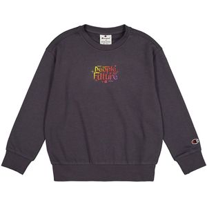 Champion Sweatshirt - Grijs - Champion - 11-12 jaar (146-152) - Sweatshirt