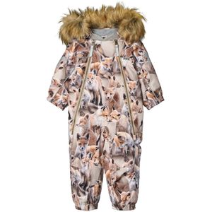 Molo Skipak - Pyxis Fur - Spelende vossen - Molo - 1½ jaar (86) - Skipak