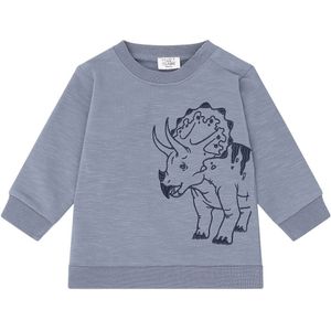 Hust and Claire Sweatshirt - Sofus Triceratops - Blue Vuursteen - Hust and Claire - 1 jaar (80) - Sweatshirt