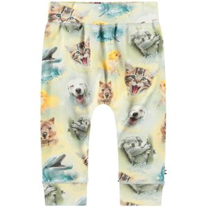 Molo Broek - Sammy - Lachende welpen - Molo - 56 - Broeken - Katoen