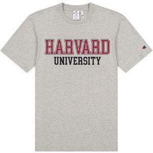 Champion Fashion T-Shirt - Grijs Gevlekt - Champion - 16-18 jaar (176-188) - T-Shirts