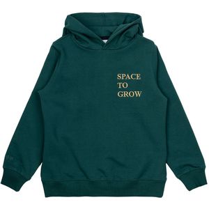 The New Hoodie - TNMalik - June Bug - The New - 7-8 jaar (122-128) - Hoodie