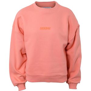 Hound Sweatshirt - Oranje m. Print - Hound - 18 jaar (188) - Sweatshirt