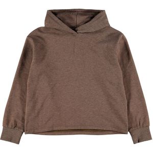 Name It Hoodie - NkfTekka - Desert Palm - Name It - 6 jaar (116) - Hoodie