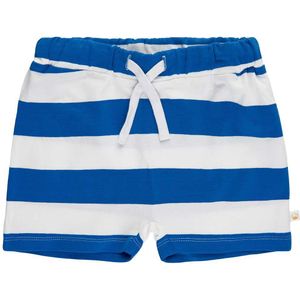 The New Siblings Shorts - TnsGeo - Daphne - The New - 56 - Shorts