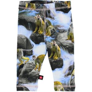 Molo Leggings - Stefanie - Jaar van de Aap Print - Molo - 56 - Leggings