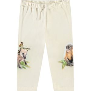 Molo Broek - Simway - Vriendelijk Jungle - Molo - 68 - Broeken - Katoen