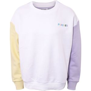 Hound Sweatshirt - Multi Colour - Hound - 16 jaar (176) - Sweatshirt