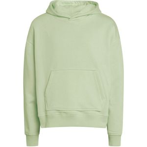 Grunt Hoodie - Onze Alice - Light Green - Grunt - 16 jaar (176) - Hoodie