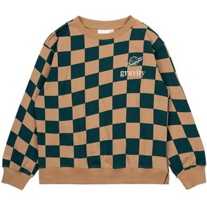 The New Sweatshirt - TNMorrison - Tanninecheck AOP - The New - 13-14 jaar (158-164) - Sweatshirt