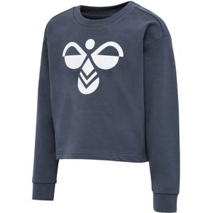 Hummel Sweatshirt - Bijgesneden - hmlCinco - Grijs - Hummel - 6 jaar (116) - Sweatshirt