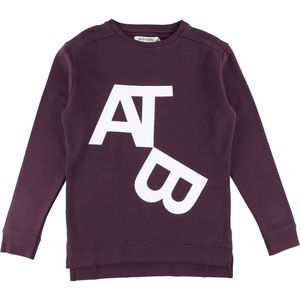 Add to Bag Sweatshirt - Donker Paars m. Print - Add to Bag - 12 jaar (152) - Sweatshirt