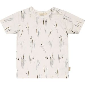 Petit Piao T-Shirt - Lisdodde - Petit Piao - 68 - T-Shirts