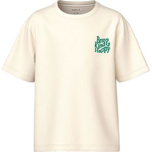 Name It T-Shirt - NkmKillian - Zilverreiger - Name It - 6 jaar (116) - T-Shirts