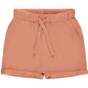 The New Siblings Shorts - TnsGull - Geroosterde Noot - The New - 56 - Shorts