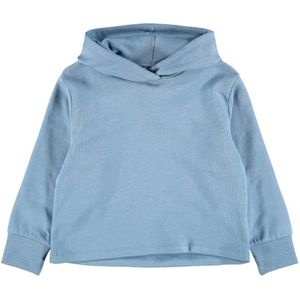 Name It Hoodie - NkfTekka - Dusty Blue - Name It - 6 jaar (116) - Hoodie