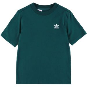 adidas ORIGINALS - Trefoil Essentials - T-shirt - Donkergroen