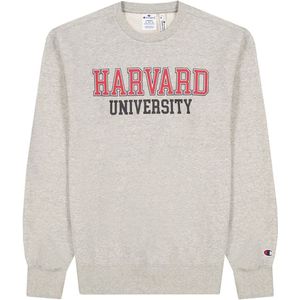 Champion Fashion Sweatshirt - EM031 - Champion - 16-18 jaar (176-188) - Sweatshirt