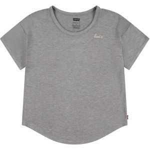 Levi's - LVG NEW FAVORITE TEE - T-shirt - Donkergrijs - Korte Mouwen