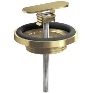 Teakea - Clou - First afvoerplug en sifonaansluiting t.b.v. (New) Flush en fonteinen, goud geborsteld PVD