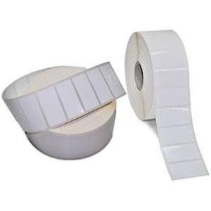 Zebra Polye 3100t Gloss