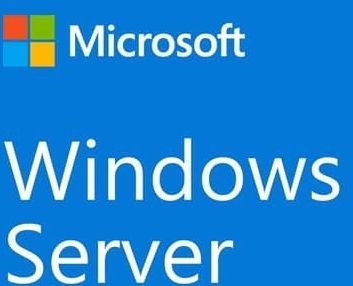 Microsoft Windows Server Cal 2022 Client Access License (cal) 1 Licentie(s)