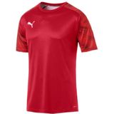 Puma - Cup Training Jersey - Heren T-shirt - Slimfit - Korte Mouwen - 100% Polyester