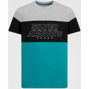 T-shirt Mercedes Heren Grote Grafische Multicolor XS