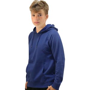 Rox R-fortitude Hoodie