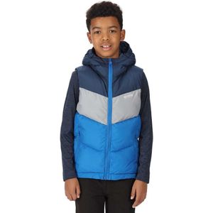 Regatta Lofthouse Vest