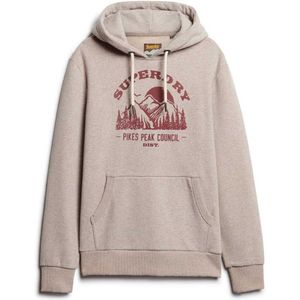 Superdry Lo-fi Outdoor Graphic Hoodie