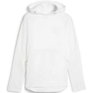 Puma Evostripe Dk Hoodie