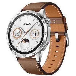 Huawei Watch GT 4 Zilver/Bruin 46mm