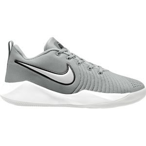 Nike Team Hustle Quick 2 Gs Schoenen