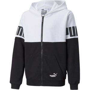 Puma Power Colorblock Hoodie