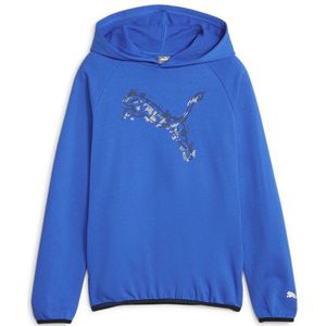 Puma Active Sports Tr B Hoodie