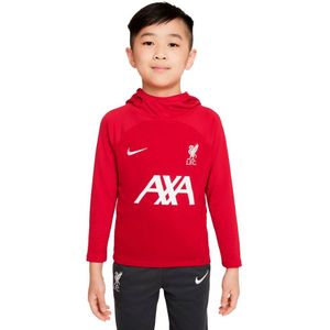 Nike Fc Liverpool 22/23 Dri Fit Academy Pro Junior Hoodie