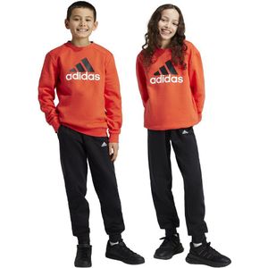 Adidas Essentials Big Logo Fleece Jogger Junior Set