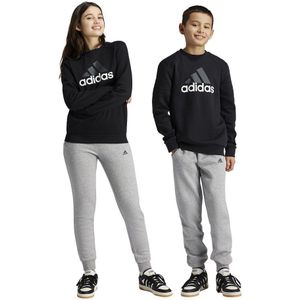 Adidas Essentials Big Logo Fleece Jogger Set