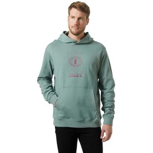 Helly Hansen Core Graphic Hoodie