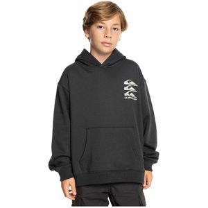 Quiksilver Screen Hoodie