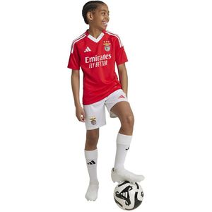 Adidas Benfica 24/25 Junior Thuisshirt Met Korte Mouwen