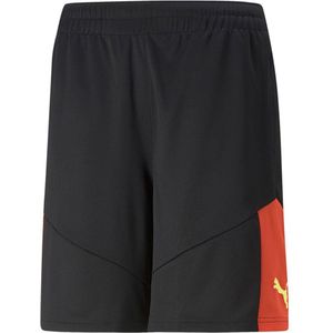 Puma Individualfinal Korte Broek