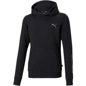 Puma Graphic Hoodie