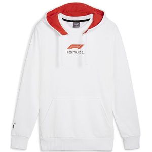 Puma F1 Graphic Hoodie