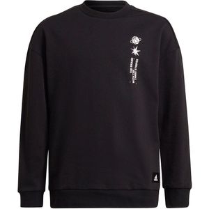 Adidas Arkd3 Sweatshirt