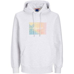 Jack & Jones Aruba Sunset Branding Hoodie