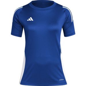 Adidas Tiro24 T-shirt Met Korte Mouwen